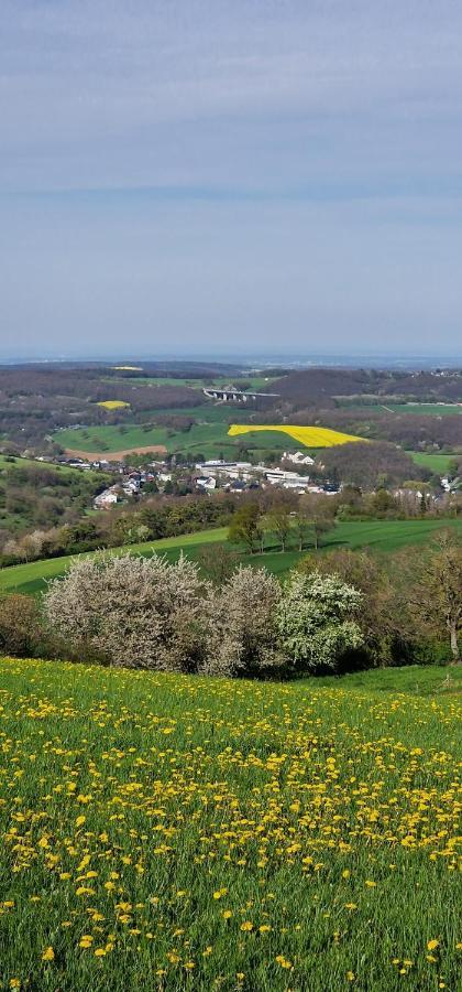 Gemuetliche Auszeit In Der Eifel Apartment Mechernich Ngoại thất bức ảnh